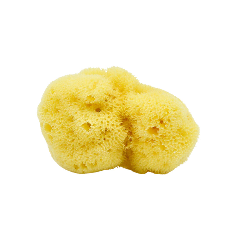 SPUGNA MARINA PER CONTORNO OCCHI Gli Sfuselli®