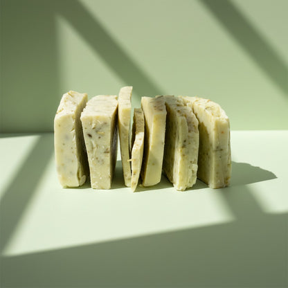 BOUTURES DE SAVON D'ARBRE À THÉ